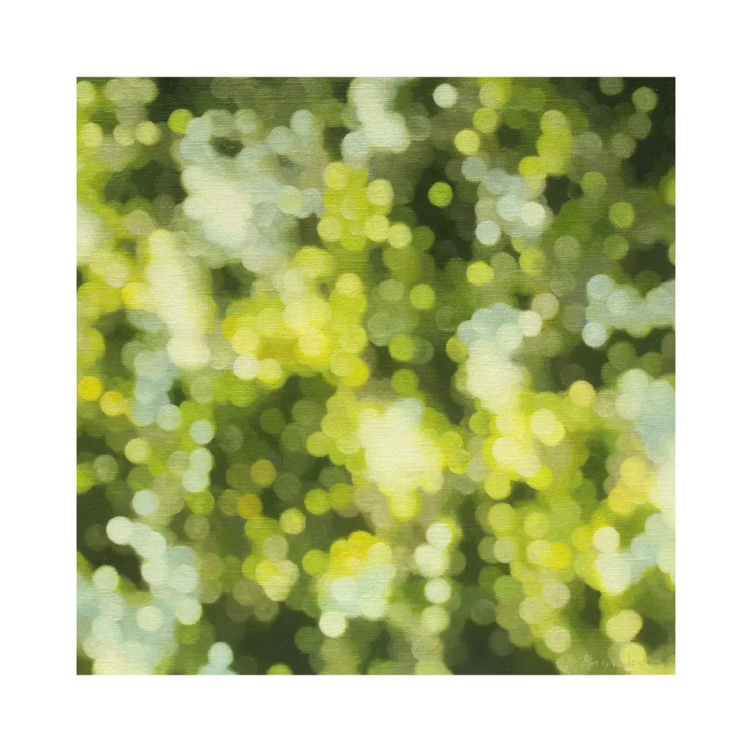 “Forest_Birds#7(森に棲む鳥#7)”